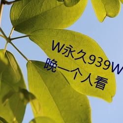 W永久939W75W75W乳液適合夜晚一個人看