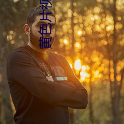 黃色片視頻app很多