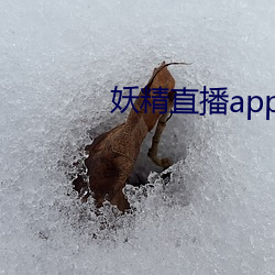 妖精直播app下載安裝