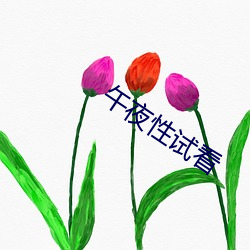 午夜性試看