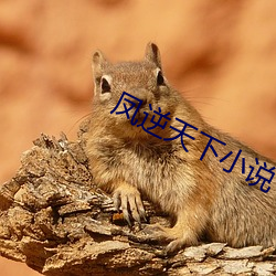 凤逆天下小说 （足足有馀）