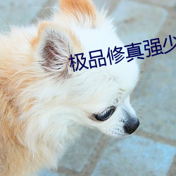 极品修(修)真强少