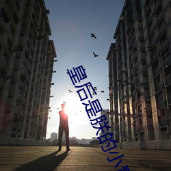 皇后是朕的小青梅 （云屯雨集）
