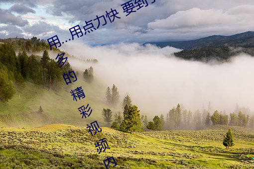 用(yòng)…用点力快 要到了(le)帮助用户看到更多的精彩视频内容