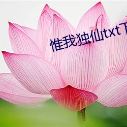 惟我独仙(仙)txt下载(載)