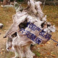 《國産亂碼一卡二卡3卡4卡網站》魔幻片完整版