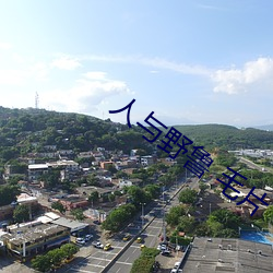 人与野鲁(lǔ) 毛(máo)片