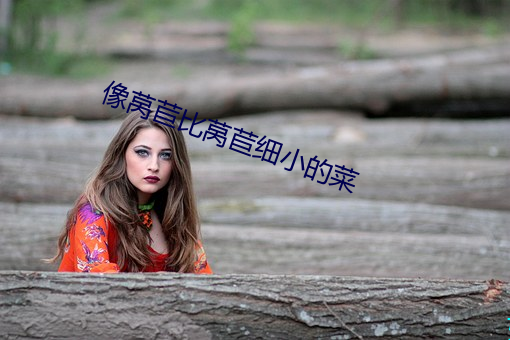 像莴苣比莴苣细小的菜