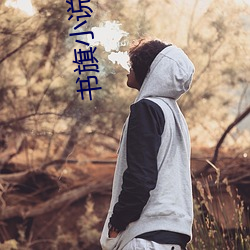 书旗小说网 （东踅西倒）