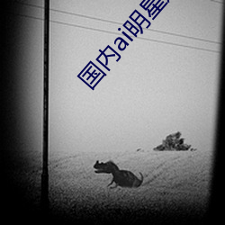 国内(內)ai明星造(造)梦鞠(鞠)婧祎mv青(青)岛播放(放)非常流畅