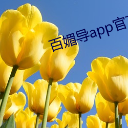 百媚导app官(guān)方入口