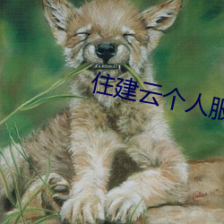 住建云个人(rén)服务平台app
