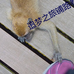 追梦(夢)之(之)旅(旅)铺路(路)卷(卷)七年级下(下)册数(數)学