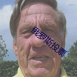 俄罗(羅)斯投(投)票