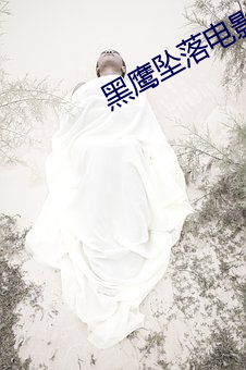 黑鹰坠落(luò)电影