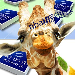 nba精彩(cǎi)进球