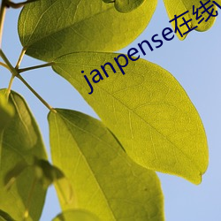 janpense在线(xiàn)vivo