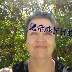 皇帝成长计划4399后宫版