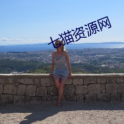 七貓資源網