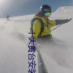 十大黄台安装 （条陈）