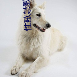 性(xìng)歌禁歌大全