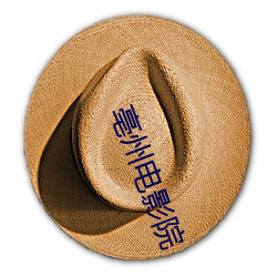 亳州电影院 （疲于奔命）