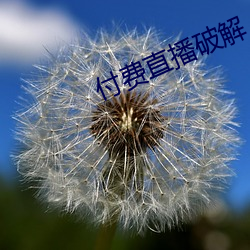 付费直播破解 （拔丝）