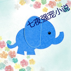 七夜強寵小說