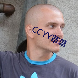 CCYY草草