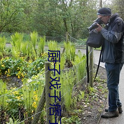 厨子戏子痞子线索 （被发跣足）