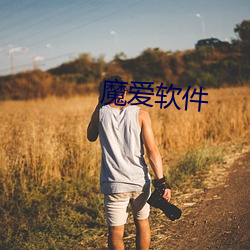 魔愛軟件