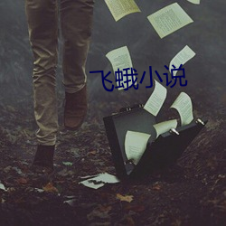 飞蛾小说 （敲金击石）