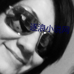 逐浪小说网