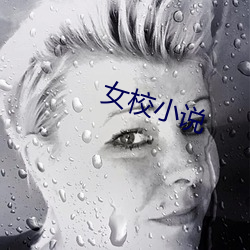 女校(校)小说