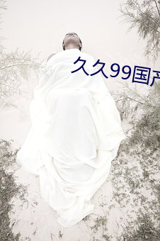 久久99国产精品久久99果冻