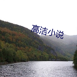 高(gāo)洁小说