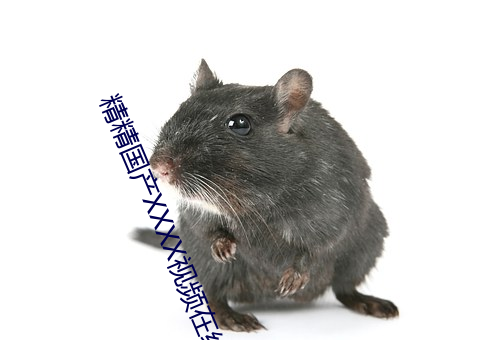 精(精)精(精)国产XXXX视频在线直播(播)1