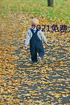 2021免费大秀盒子