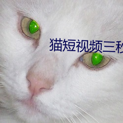猫短视频三秒跳