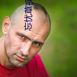 忘忧(yōu)草视频在线播放免(miǎn)费观(guān)看