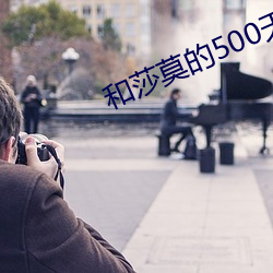 和(和)莎(莎)莫(莫)的500天