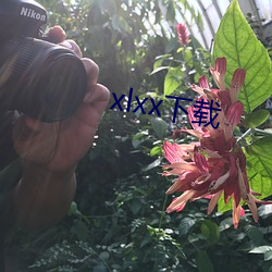 xlxx下载 （东征西怨）