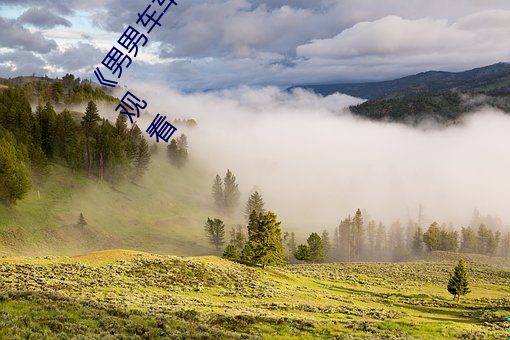 《男男车车好快的车车啊哈哈视频》详情介绍手机在线观看