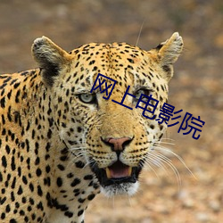 网(wǎng)上电(diàn)影院