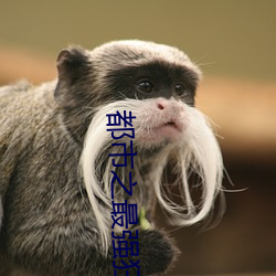 都市之(之)最强(強)狂(狂)兵小说