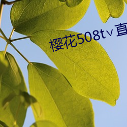 金年会 | 诚信至上金字招牌