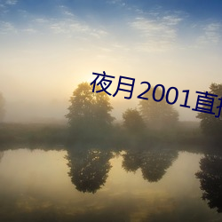 夜月2001直播app