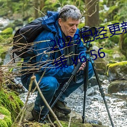 2023已经更新伊甸园大象精品在线 v6.56 齐㲢驱）