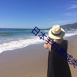 日本手机养成类(lèi)h游戏
