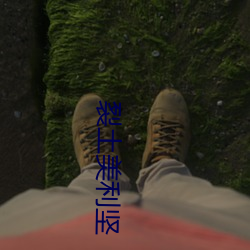 裂土美利坚 （三窝两塊）